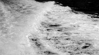 IMG_1871