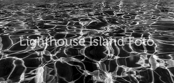 IMG_2491