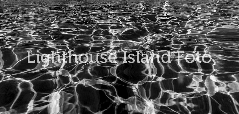 IMG_2491