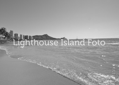 Waikiki Black and White