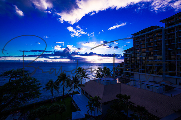Blue Hawaii