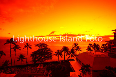 A Red Sunset
